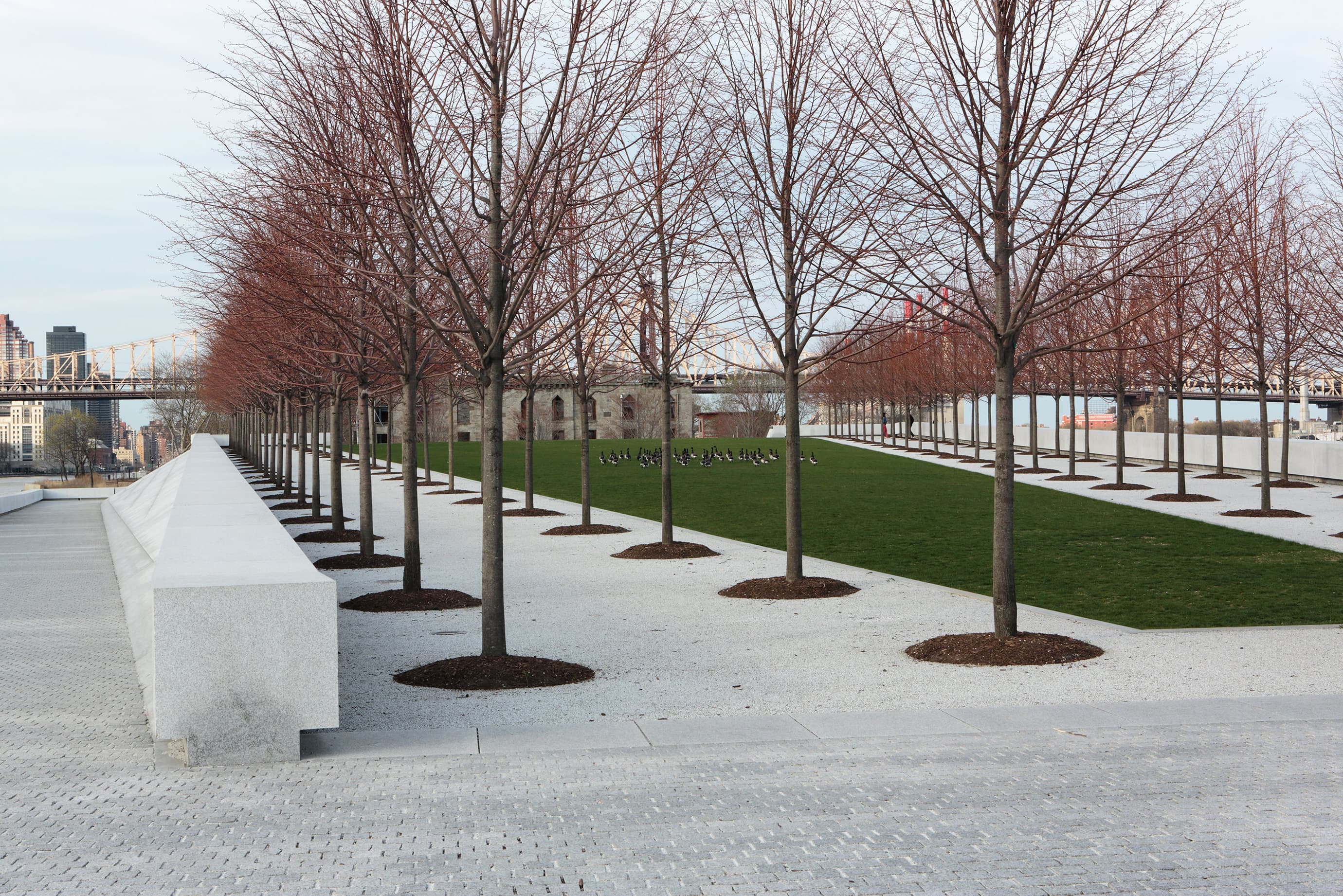 Photography Architecture Roosevelt Four Freedoms Park07