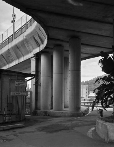 Bearing Weight Web 02
