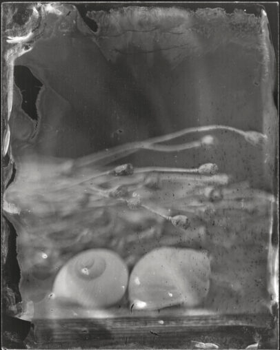 260615 Wetplate Ambroytypie